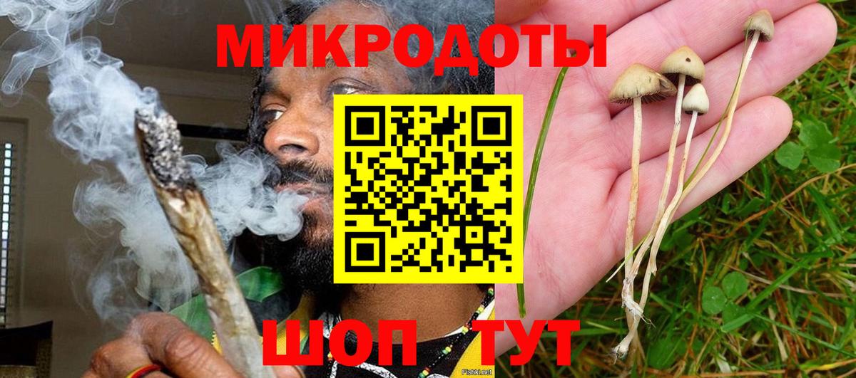 Галлюциногенные грибы ЛСД  Вход с VPN  купить  сайты  Среднеуральск  Псилоцибиновые грибы Magic Shrooms 